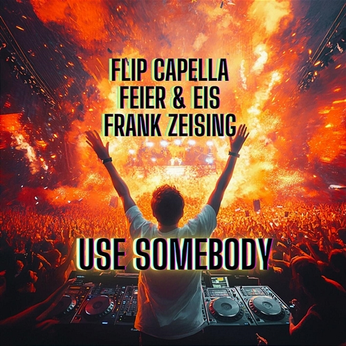 Use Somebody Flip Capella, Feier, Eis, Frank Zeising