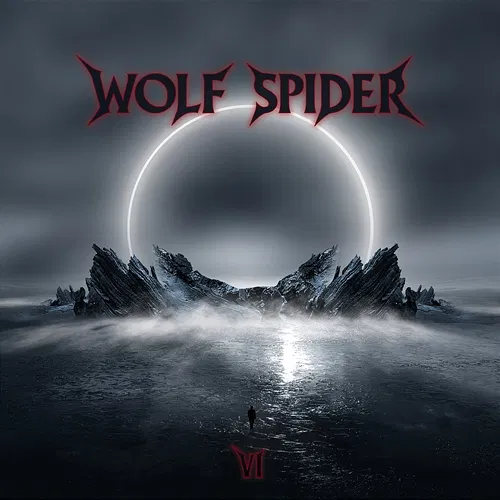 VI Wolf Spider