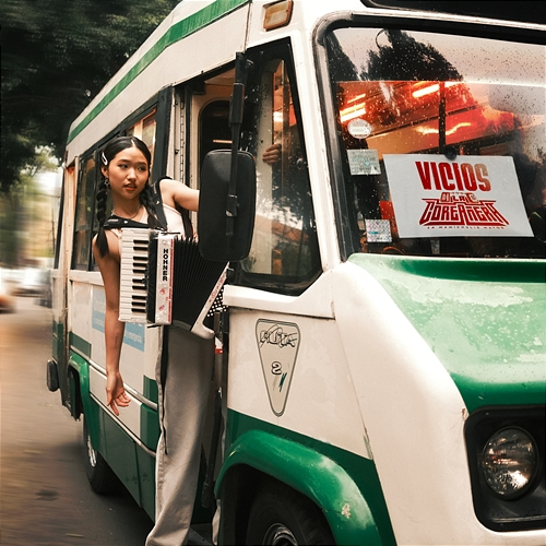 Vicios La Coreañera