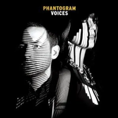 Voices, płyta winylowa Phantogram