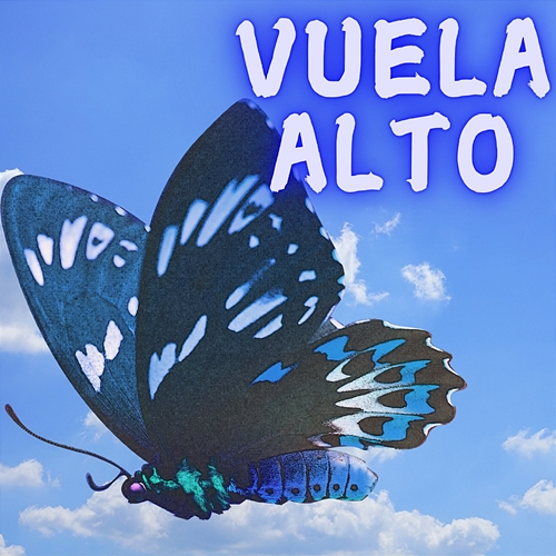 Vuela Alta Beto Querido