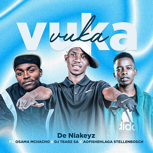Vuka Vuka De Niakeyz, Osama Mchacho, DJ Tearz SA, Aofishehlaga Stellenbosch