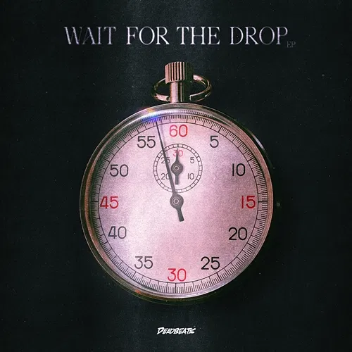 Wait for the Drop Justin Jay, Bayer, Waits