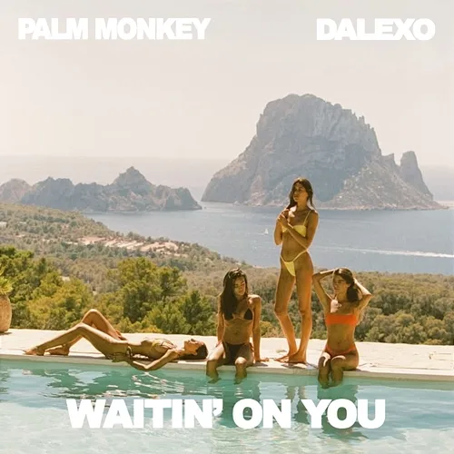 WAITIN' on YOU Palm Monkey, DALEXO