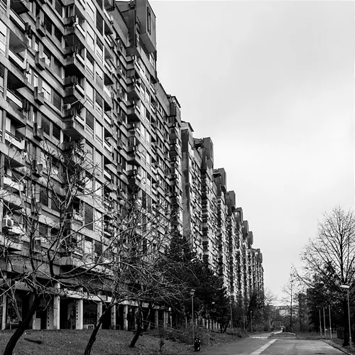 Warosha Adriano Zanni