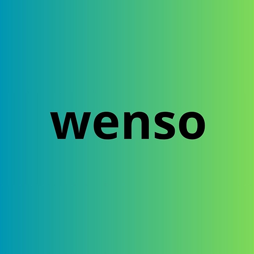 wenso el menor 73