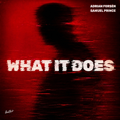 What It Does Adrian Forsén, Samuel Prince