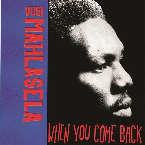 When You Come Back Vusi Mahlasela