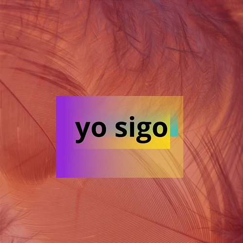 yo sigo Flaco G