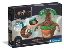 Harry Potter - Mandragora