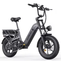 Rower elektryczny Fat Bike HillMiles Mile Link 1, 250 W, zasięg do 250 km, szary