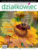 Działkowiec