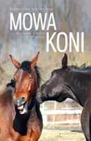 Kalendarze adwentowe