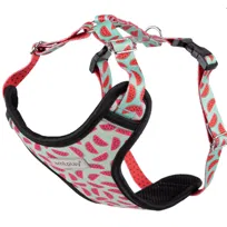 Amiplay Behappy Szelki Regulowane Discovery S 20-30 X 30-40 X 1,5 Cm Watermelon Dla Psa