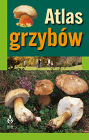Nowości