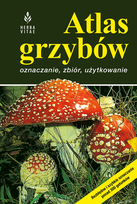 Nowości