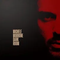 Dark Room (edycja kolekcjonerska winyl 7 cali), płyta winylowa