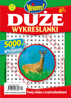 Duże Wykreślanki