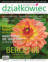 Działkowiec
