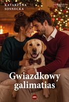 Literatura obyczajowa 