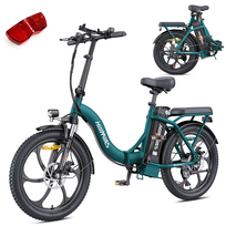 HillMiles MilePort 1 Składany Rower Elektryczny Fat Bike 20
