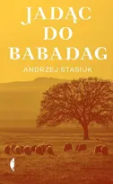 Nagroda Literacka Nike