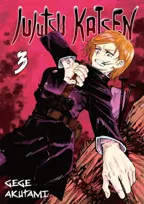 Prasa dziecięca, młodzieżowa i manga