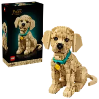 LEGO Icons, klocki, Szczeniak golden retriever, 11384