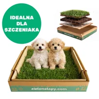 Legowisko/ Kuweta dla szczeniaka prawdziwa trawa 50×50cm