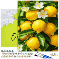 MALOWANIE PO NUMERACH Martwa Natura Сytryny Obrazy do Malowania po Numerach z Ramą 40x50 cm Oh Art!
