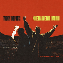 More Than We Ever Imagined twenty one pilots