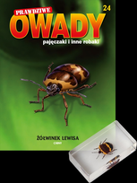 Prawdziwe Owady Pajęczaki i Inne Robaki Reedycja