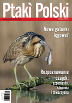 Ptaki Polski Agencja Przyrodnicza AVES Tomasz Krzyśków