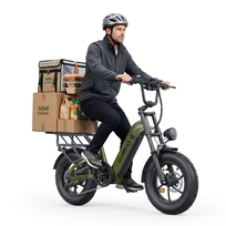 Rower elektryczny Fat Bike HillMiles Mile Link 1, 250 W, oliwkowo-zielony