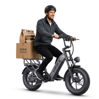 Rower elektryczny Fat Bike HillMiles Mile Link 1, 250 W, szary
