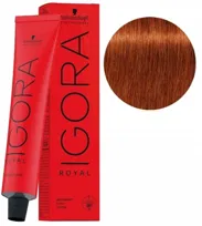 Schwarzkopf Farba Igora Royal 60ml 6-77