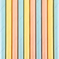 Słomki papierowe, Summer time, 19,5 cm, 10 sztuk