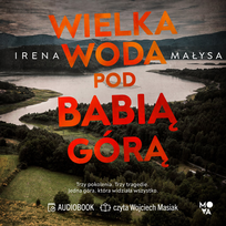 Nowości i bestsellery audiobooki