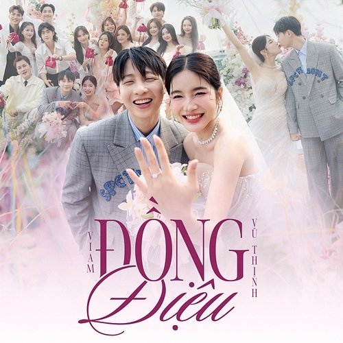 Đồng Điệu Vũ Thịnh & ViAM
