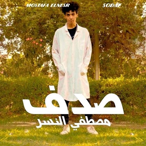 صدف Mostafa Elnesr