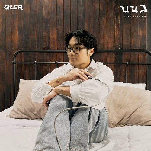 นนล (ppm) QLER