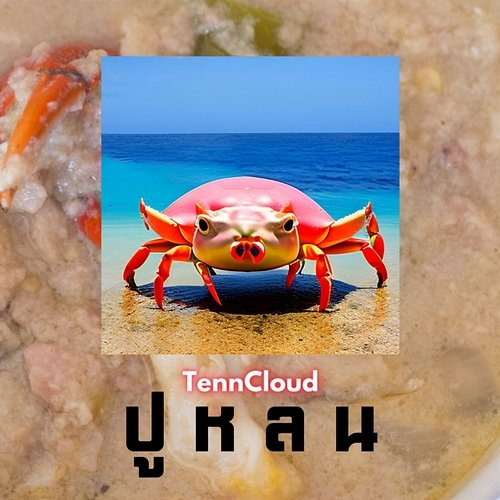ปูหลน TennCloud
