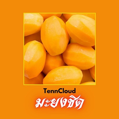 มะยงชิด TennCloud