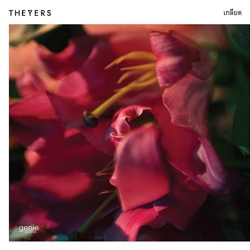 เกลียด The Yers