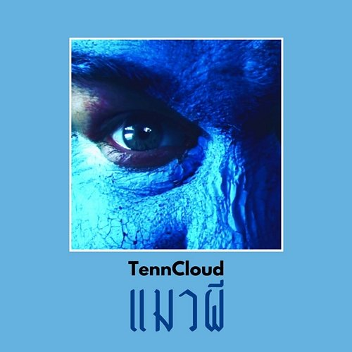 แมวผี TennCloud
