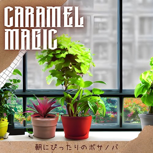 朝にぴったりのボサノバ Caramel Magic