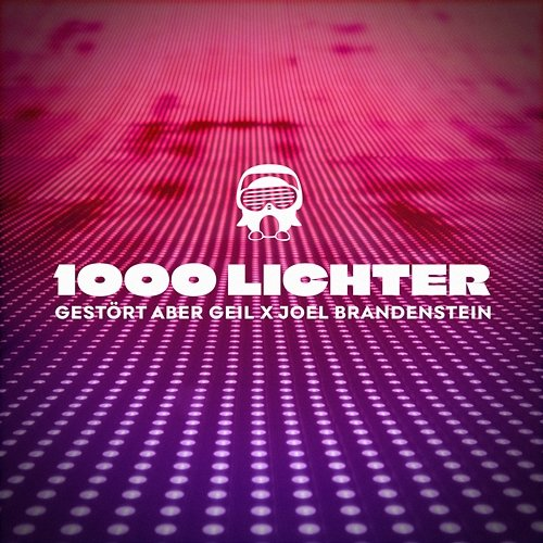 1000 Lichter Gestört aber Geil, Joel Brandenstein