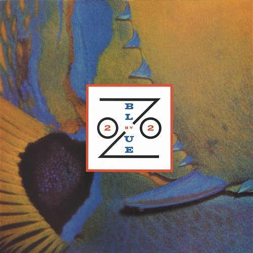 2 By 2 Blue Zoo