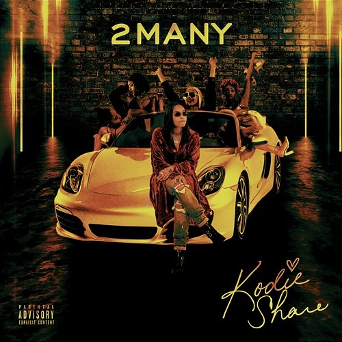 2 MANY Kodie Shane