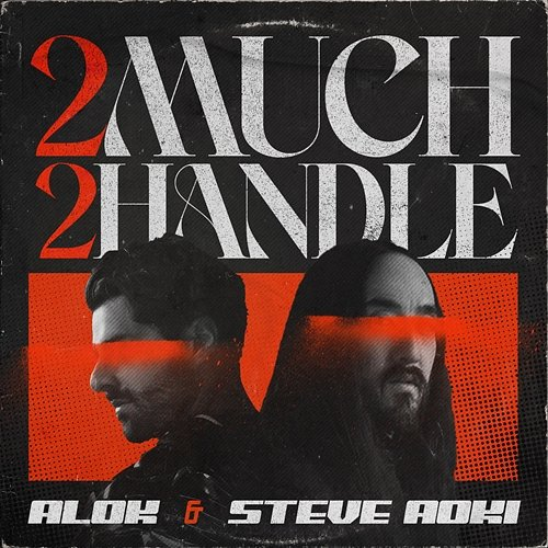 2 Much 2 Handle Alok, Steve Aoki